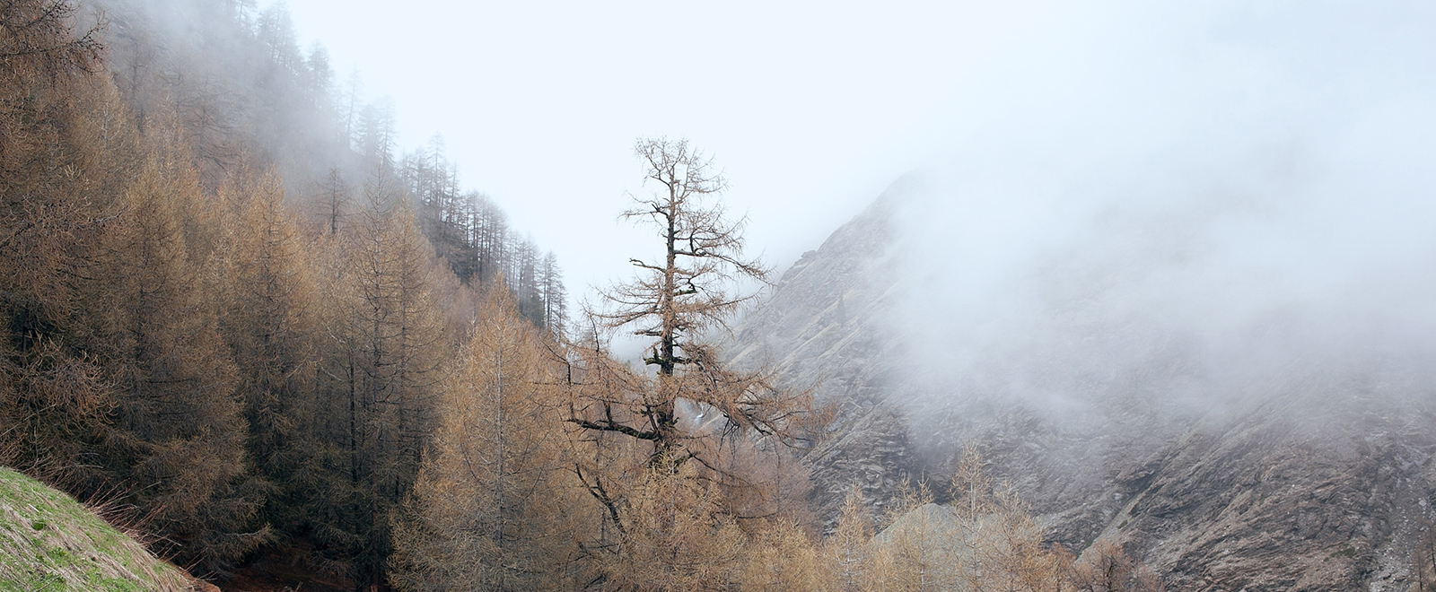 短信验证码轰炸平台免费